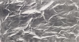 Chen Fan - Moon Beyond Hills