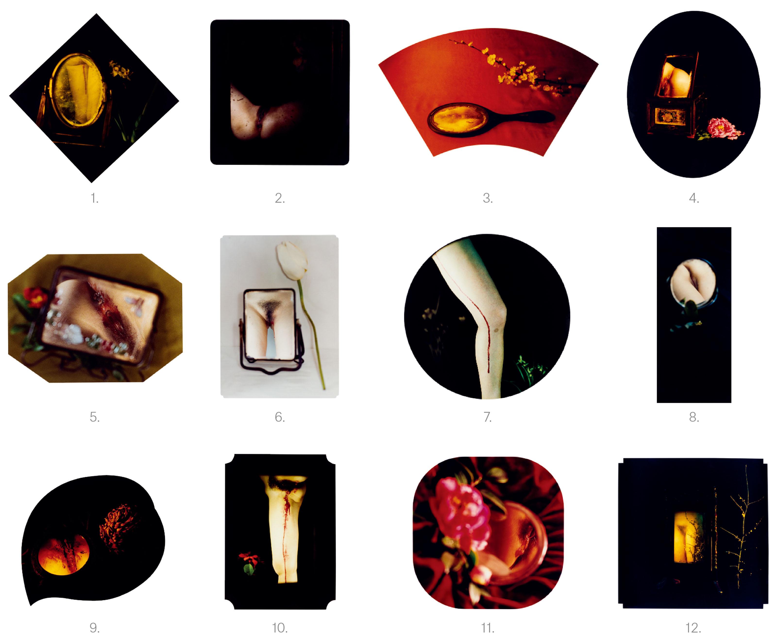 Chen Lingyang - Twelve Flower Months