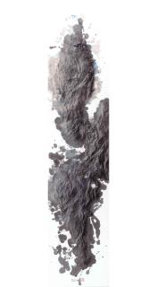 Chen Liu - Aerial View No. 5