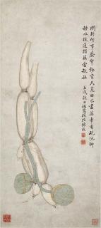 Chen Mei - Lotus Root