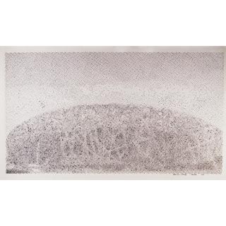 Chen Shaoxiong - Collective Memory Series - Beijing: Olympic Stadium