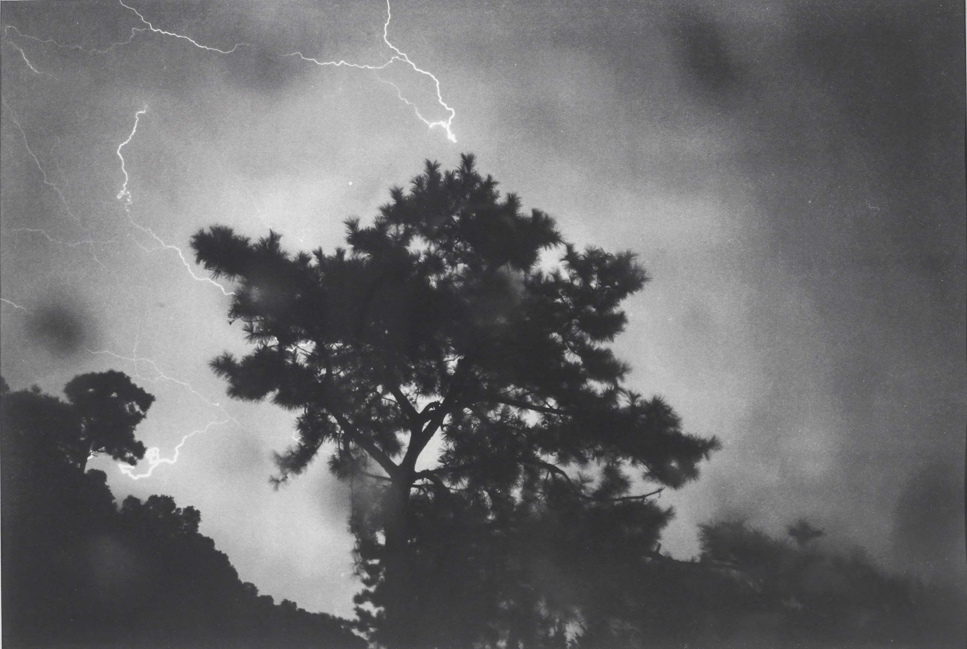 Chen Xiaoyun - Untitled