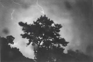 Chen Xiaoyun - Untitled