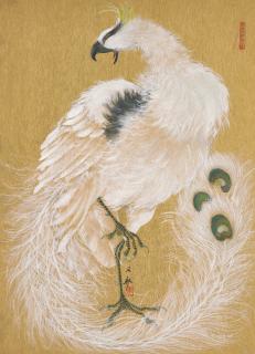 Chen Yihang - White Phoenix