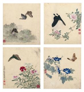 Chen Zhang - Butterflies and Flowers