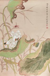 Chen Zhifo - Lotus and Dragonfly