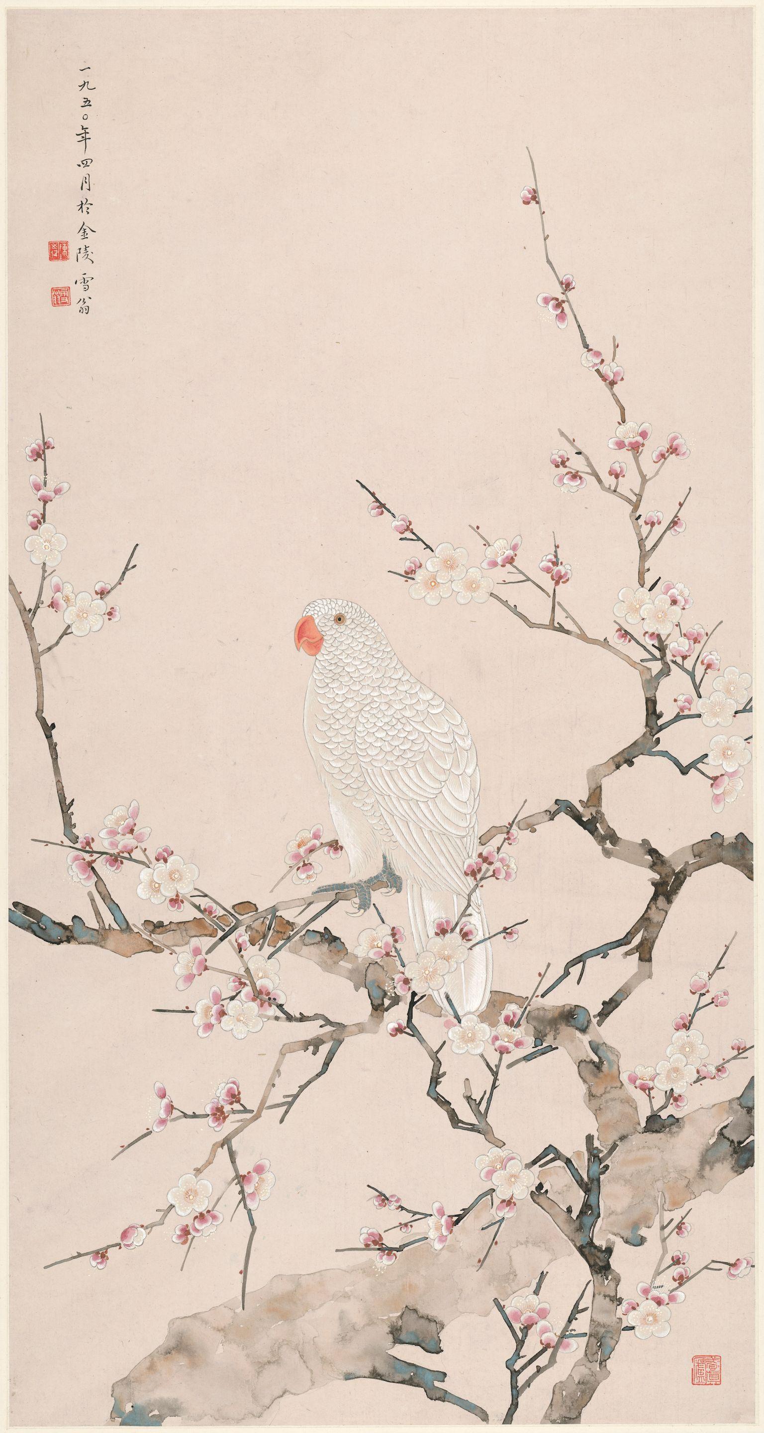 Chen Zhifo - Parrot on a Prunus Branch, 1950