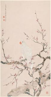 Chen Zhifo - Parrot on a Prunus Branch, 1950