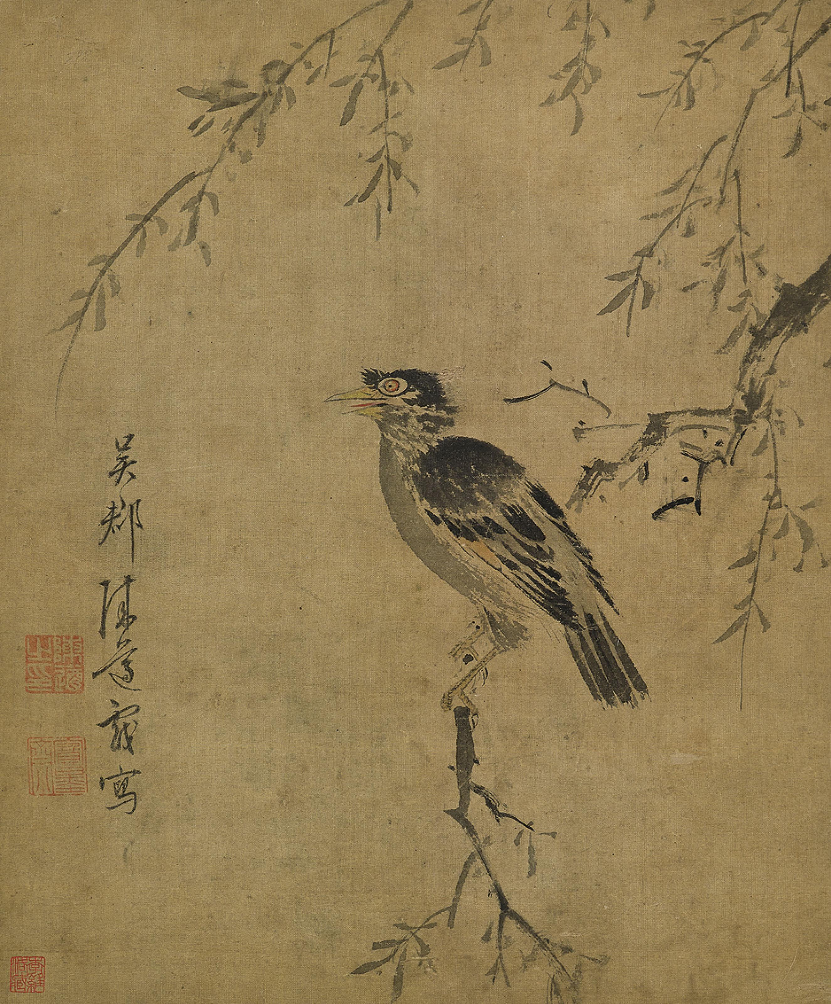 Chen Zun - Crested Myna