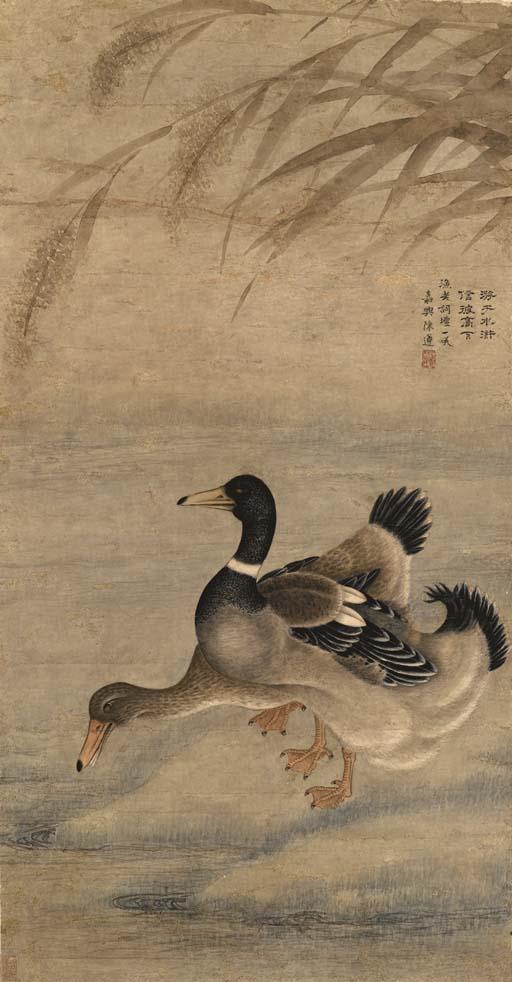 Chen Zun - Ducks