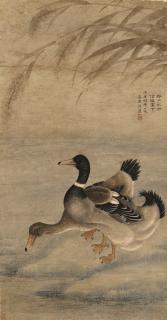 Chen Zun - Ducks