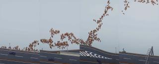 Chiharu Nishizawa - Enjoy Car Life - C