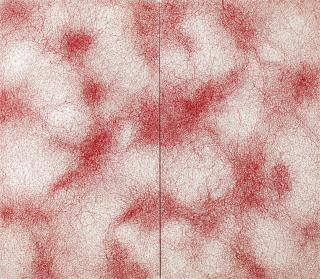 Chiharu Shiota - Skin