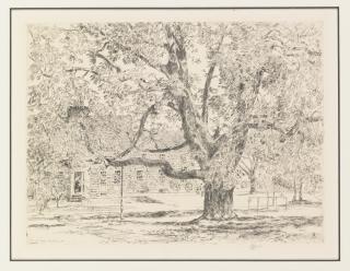 Childe Hassam - House On The Mainstreet, Easthampton; The Big Horse Chestnut Tree, Easthampton; And Spring In Annapolis, (Cl./C. 213, 304 And 310)