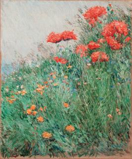 Childe Hassam - Poppies, Appledore