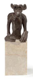 Chimei Hamada - Untitled (Monkey)