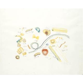 Chloe Cheese - Pasta Shapes