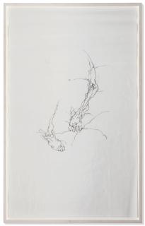 Chloe Piene - Dwarf 04