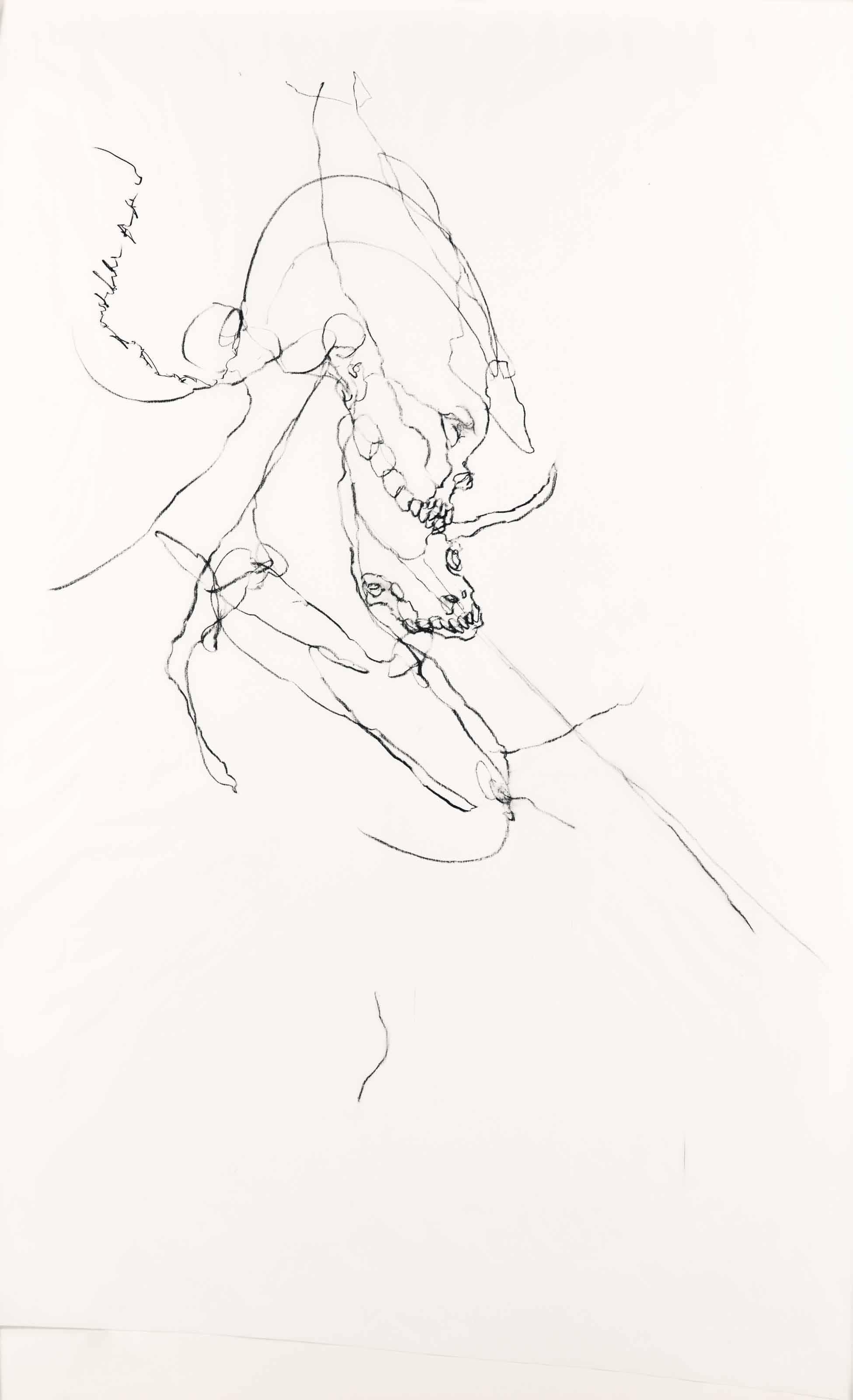 Chloe Piene - Untitled (Goat Profile)