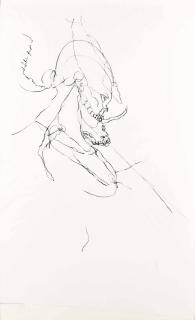 Chloe Piene - Untitled (Goat Profile)
