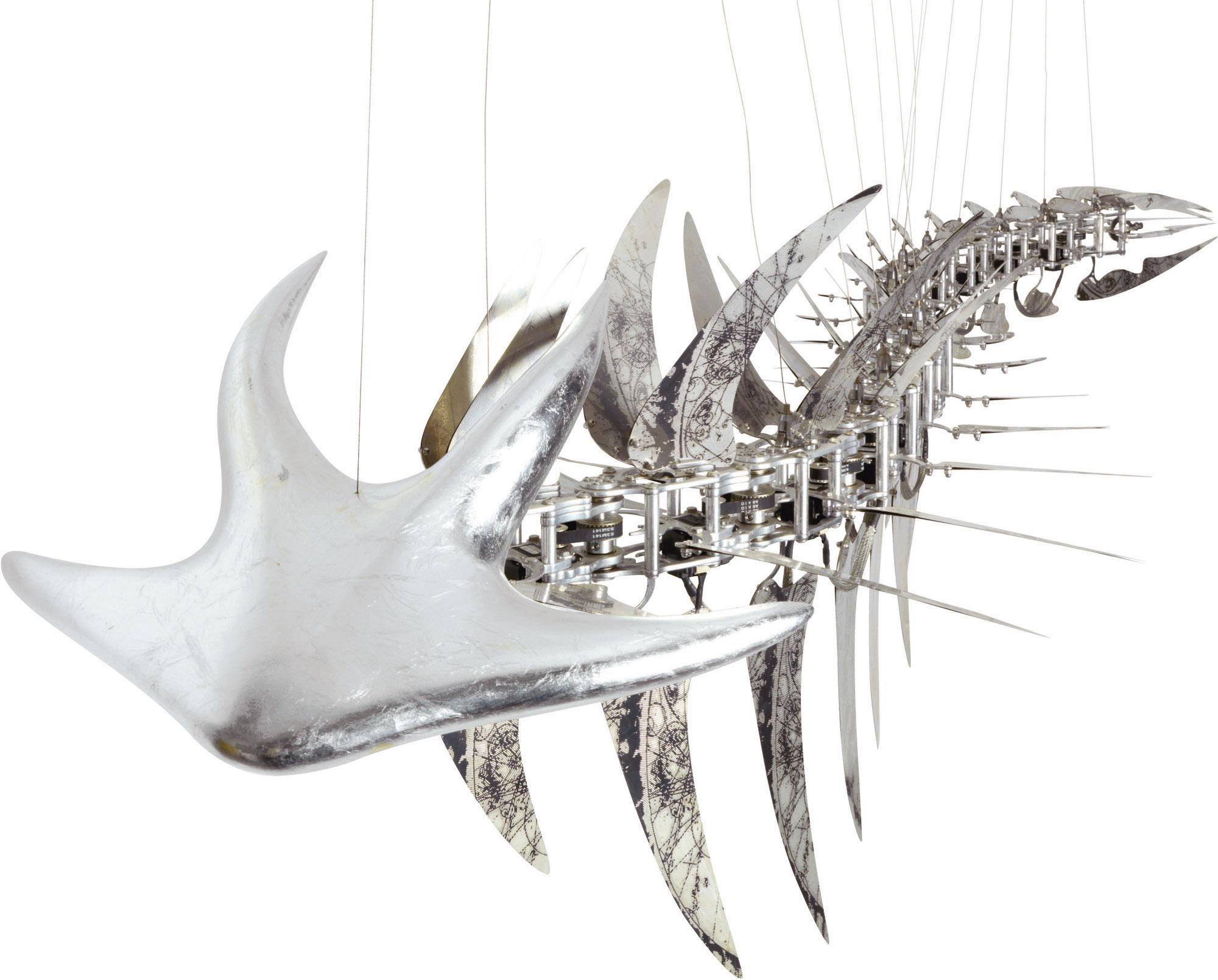 Choe U-Ram - Echo Navigo (Adult)