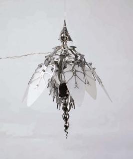 Choe U-Ram - Urbanus Male Larva (Scientific Name: Anmopista Volaticus Floris Uram)