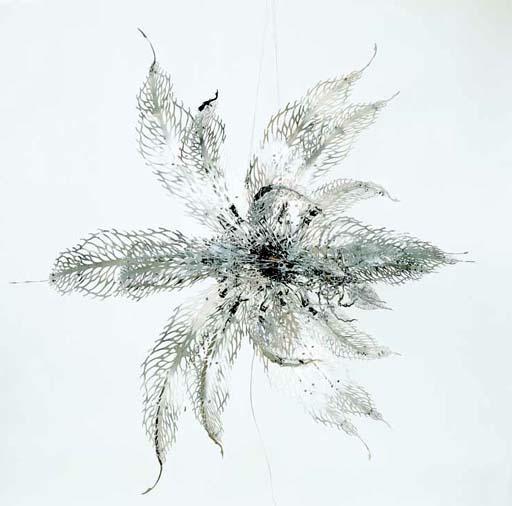 Choe U-Ram - Varietal Urbanus Female (Scientific Name: Anmopista Volaticus Floris Uram)