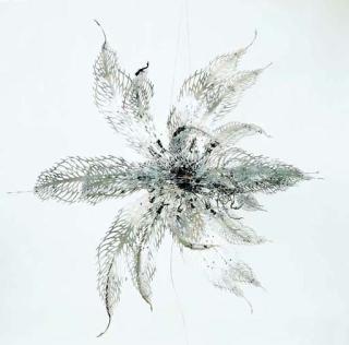 Choe U-Ram - Varietal Urbanus Female (Scientific Name: Anmopista Volaticus Floris Uram)