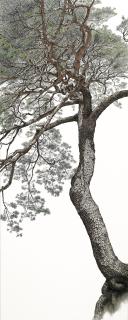 Choi Yeong-Geol - An Auspicious Pine Tree