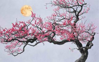Choi Yeong-Geol - Blossom Of Moonlight Ii