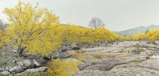 Choi Yeong-Geol - Finding Spring