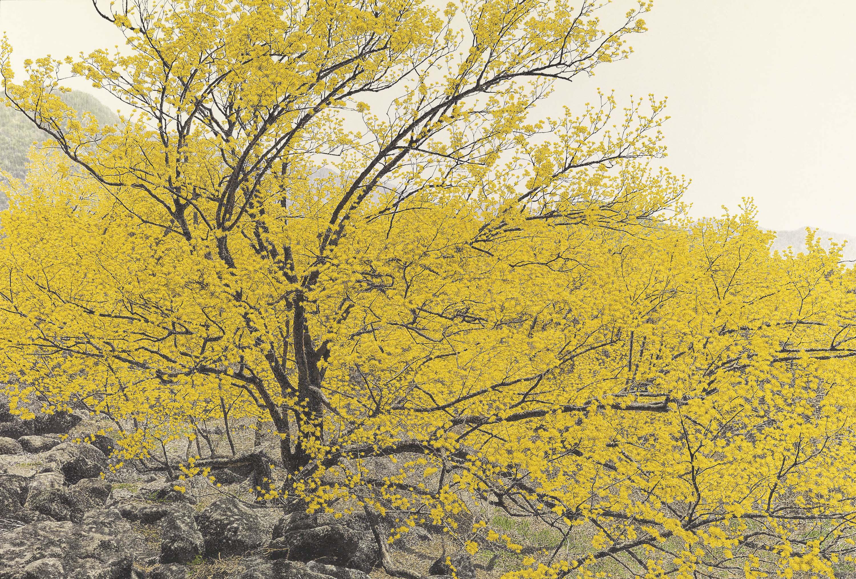 Choi Yeong-Geol - Full Blossom