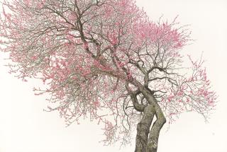 Choi Yeong-Geol - Full Of Red