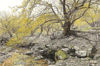 Choi Yeong-Geol - Guardian of Spring 2