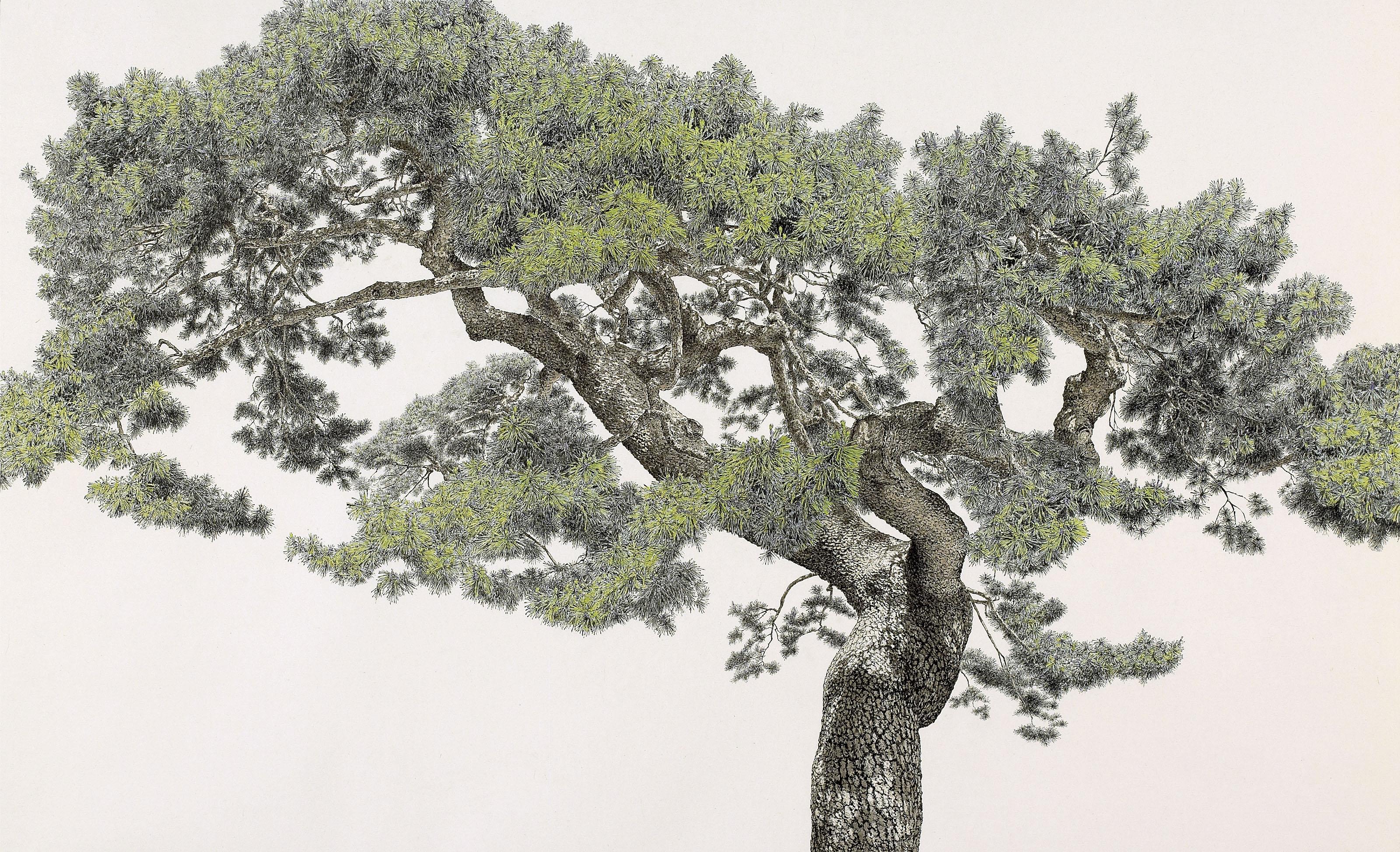 Choi Yeong-Geol - Old Pine Tree