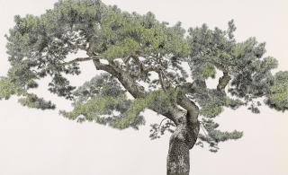 Choi Yeong-Geol - Old Pine Tree
