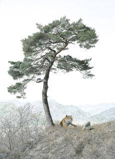 Choi Yeong-Geol - Root of Ese