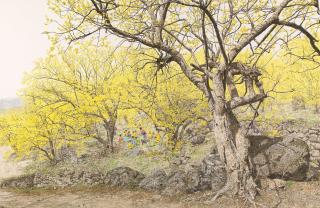 Choi Yeong-Geol - SPRING PICNIC