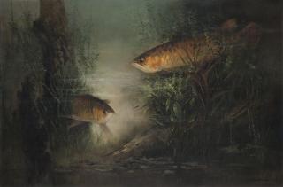 Choo Keng Kwang - Arowana