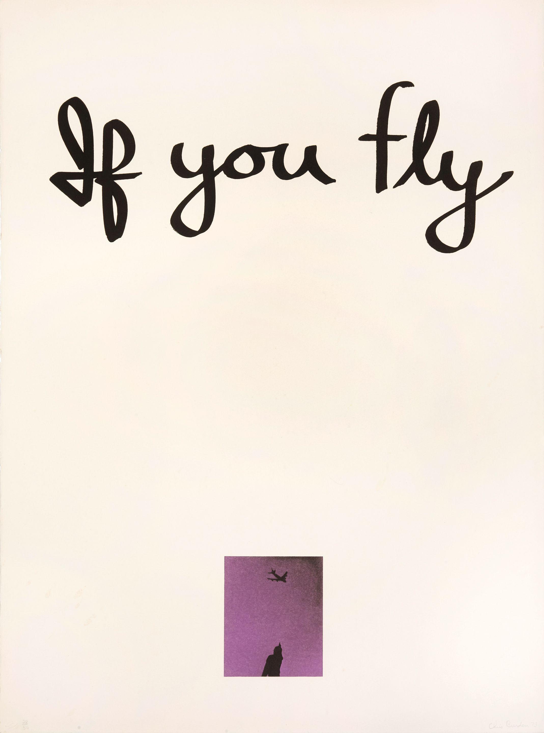 Chris Burden - If You Fly, If You Drive (Diptych)