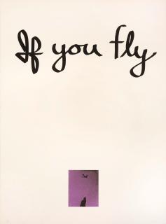 Chris Burden - If You Fly, If You Drive (Diptych)