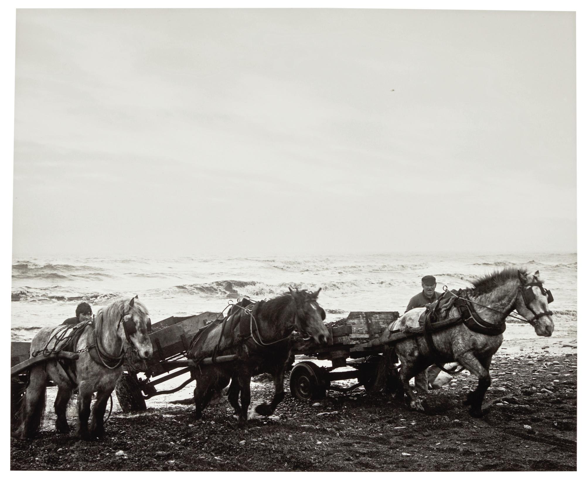 Chris Killip - Horses, Seacoal Beach, Lynemouth, Northumberland, 1982