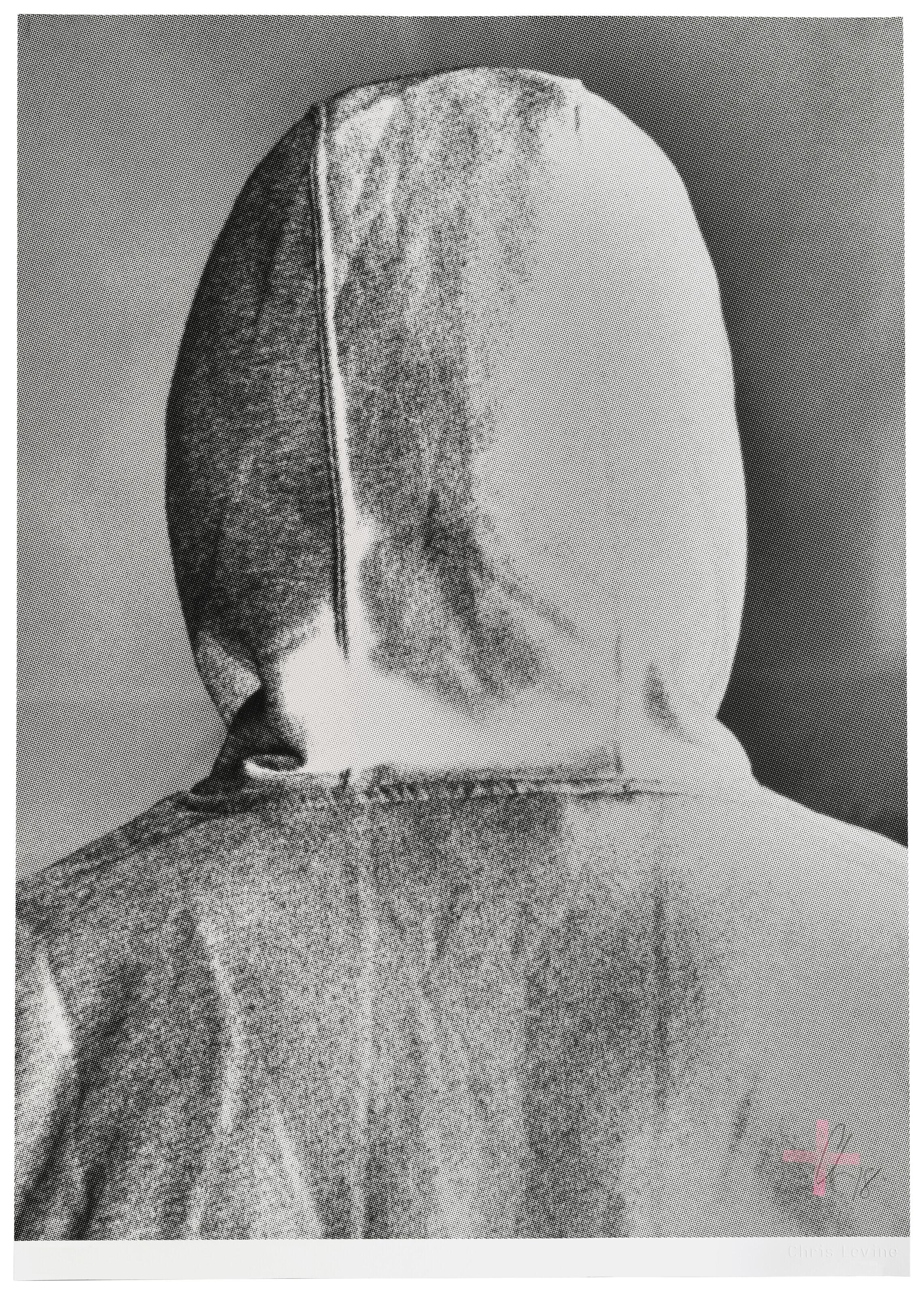 Chris Levine - Banksy [3D]