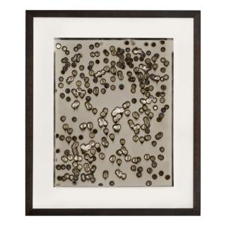 Chris Mccaw - \'Sunburned Gsp#145\'