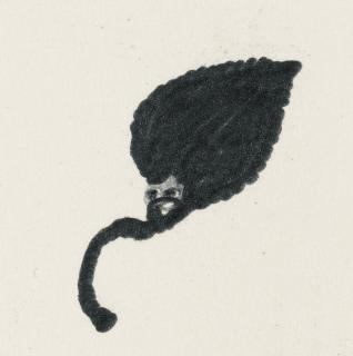 Chris Ofili - Untitled (Afrohead)