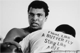 Chris Smith - \'Float Like A Butterfly, Miami\'