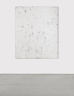 Chris Succo - Flesh #1