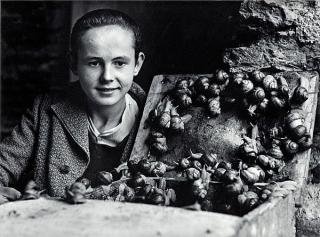 Christer Strömholm - \