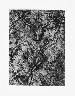 Christer Strömholm - Ohne Titel (Fox-Amphoux).