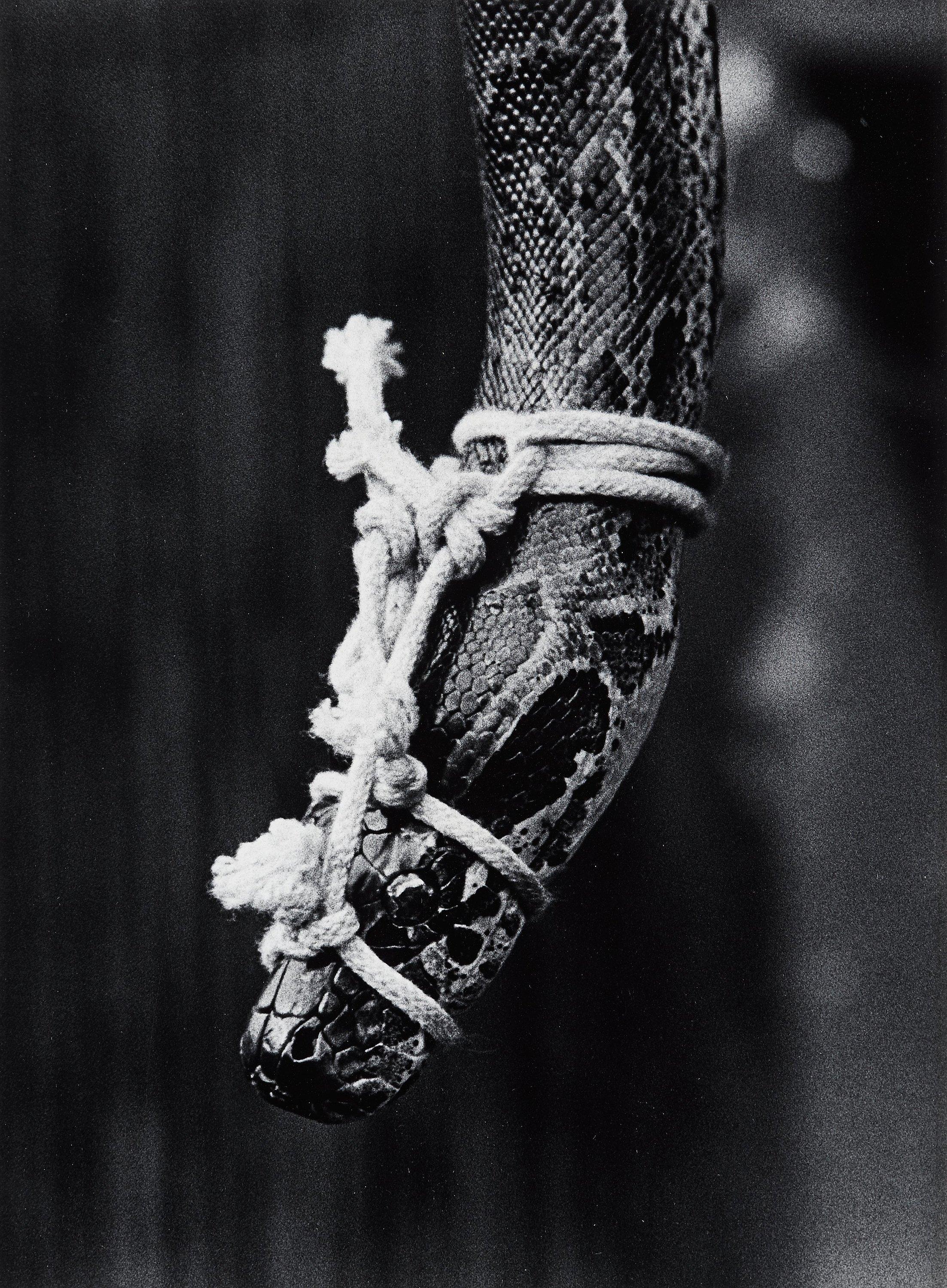 Christer Strömholm - \